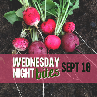 Wednesday Night Bites, September 10th, 2025
