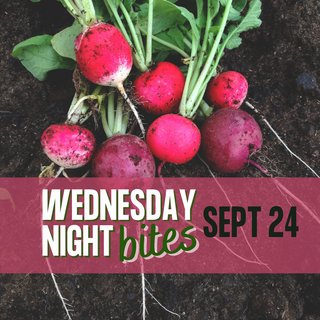 Wednesday Night Bites, September 24th, 2025