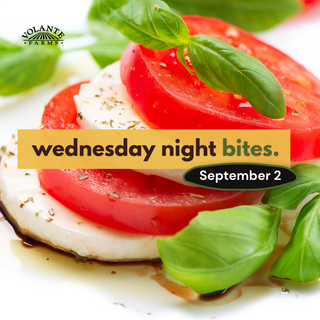 Wednesday Night Bites - September 2nd, 2026