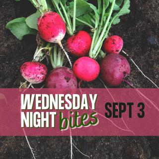 Wednesday Night Bites, September 3rd, 2025
