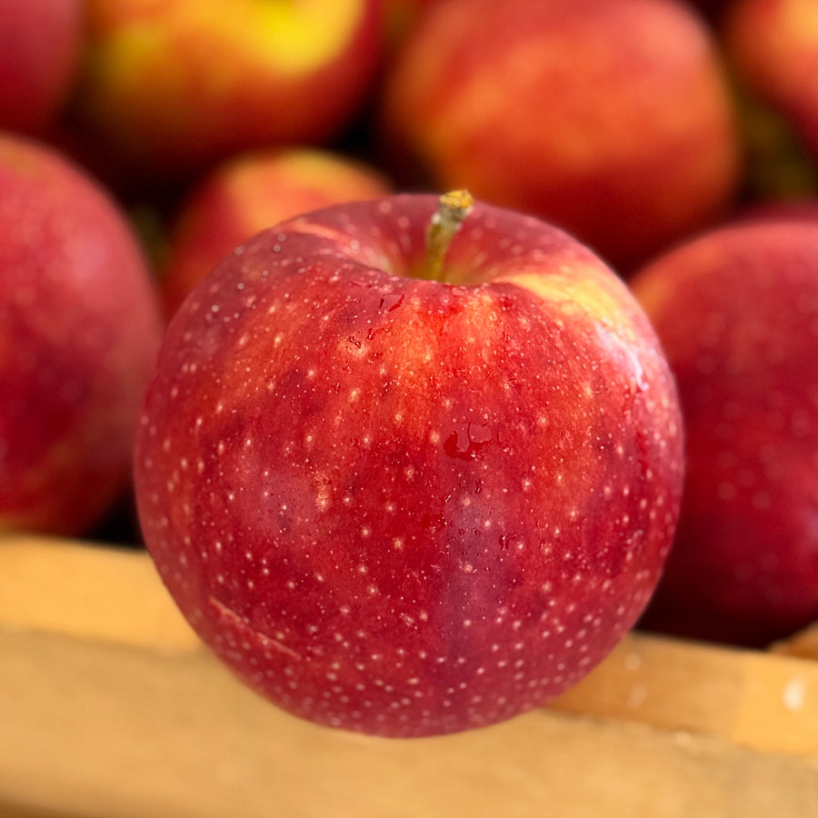 Red Jonaprince