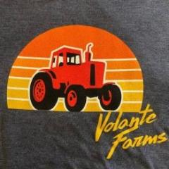 VF T-Shirt Dark Blue
